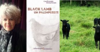©Black lamb un palempseste - Mid&Plus