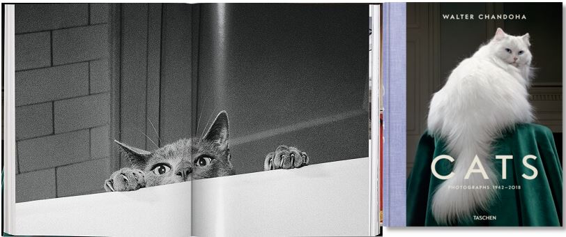 ©Taschen - Cats - Walter Chandoha - www.taschen.com - 2