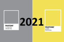 Quelle couleur pour 2021 ?