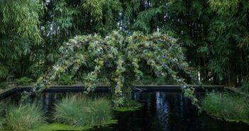 ©Le Jardin de la fontaine anémone - Domaine de Chaumont sur Loire 2023