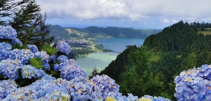 Hortensias aux Açores ©AdobeStock_462688447 - Les fleurs en majesté